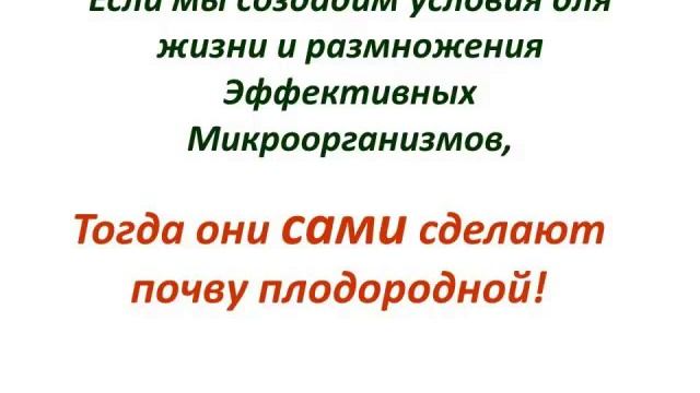 Суть плодородия почвы