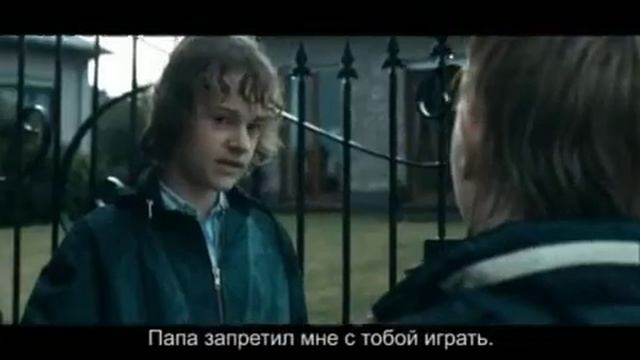 Фламандские Натюрморты