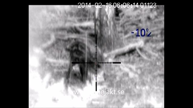 Pulsar Digisight N970 LRF смотреть онлайн