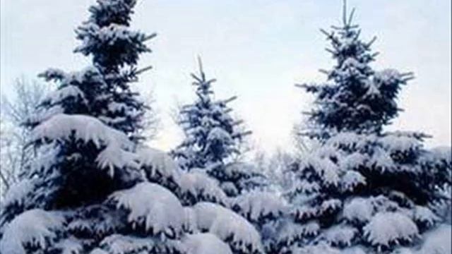 Работа Сулимовой Е. и Петровой А. по стихотворению Зимнее утро смотреть онлайн