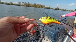 Астрахань с. Вышка 4 дня рыбалки сом, судак, сазан, жерех. 12-15 октября 2023