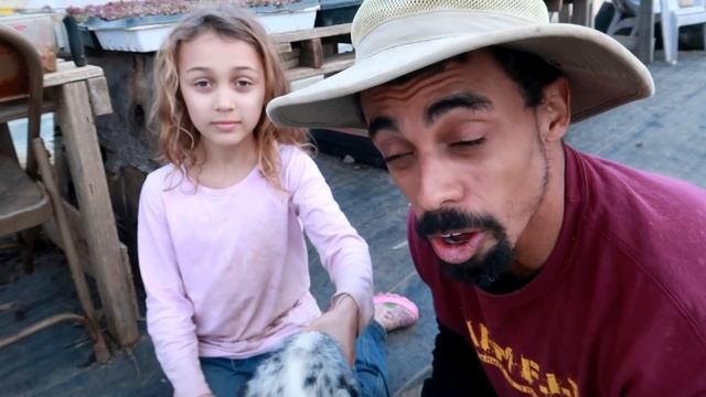 DOG TAILS | To dock or not to dock?? | смотреть онлайн