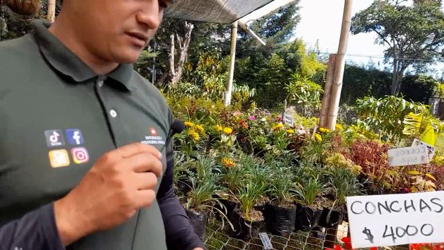 De rumbo a Alma del bosque entramos al vivero la primera смотреть онлайн