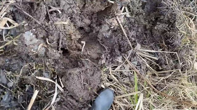 ЭКСПЕДИЦИЯ ПО МЕТАЛЛОКОПУ! СДАЕМ ЧЕРМЕТ и МЕДЬ! ЦЕЛИ ДОСТИГНУТЫ!! ОТЛИЧНЫЙ РЕЗУЛЬТАТ! смотреть онлайн