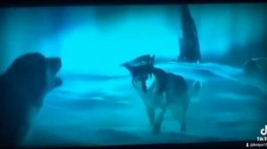 зов предков. музыка с басом