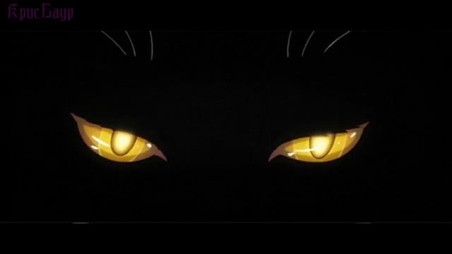 Футаж Тик Ток кошачьи глаза смотрят и моргают на черном фоне музыка смотреть онлайн