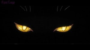 Футаж Тик Ток кошачьи глаза смотрят и моргают на черном фоне музыка