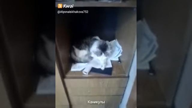 Вот что значит устала смотреть онлайн