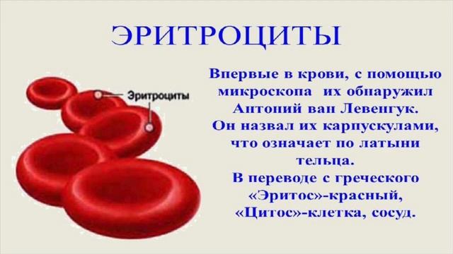 Влияние алкоголя на сознание человека. смотреть онлайн