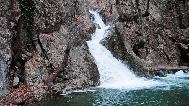 DSC_3227 смотреть онлайн