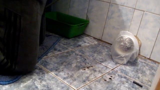 УСТАНАВЛИВАЕМ УНИТАЗ И СМЫВНОЙ БАЧОК своими руками. ( Ч 2 ) смотреть онлайн