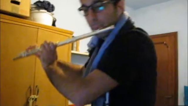 Lindsey Stirling - Crystallize (Flute Cover)