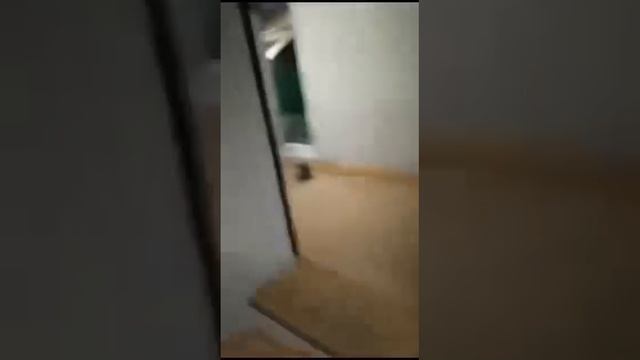 Окопы по русски Эти видео набирают огромную популярность у ВСУ