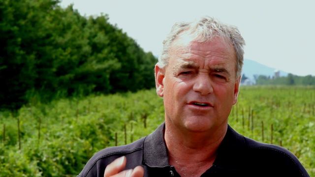 Notre Nouvelle Ancienne Tomate!