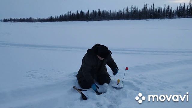 РЫБАЛКА ПЕРВЫЙ ЛЁД# 2023 СИГ, НАЛИМ, МОРОЗ -35 НОЧУЕМ В ПАЛАТКЕ смотреть онлайн