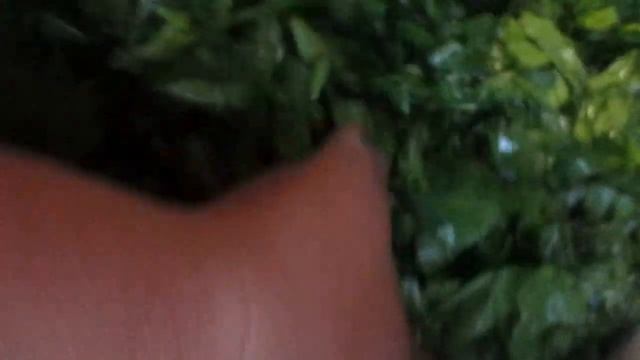 Заготовка щавеля на зиму. | Preparation of sorrel for the winter. смотреть онлайн