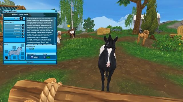 Star Stable - Buying the Updated Appaloosa Horse! ? смотреть онлайн