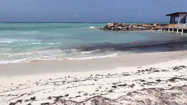 Royalton `Blue Waters’ All Inclusive￼ Resort | Montego Bay, Jamaica. ￼Hotel Review / Room Tour | смотреть онлайн
