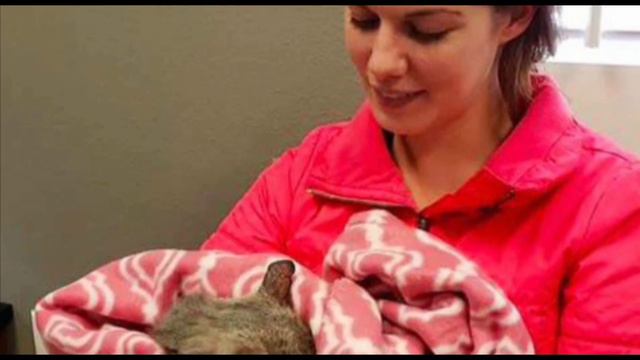 Его выкинули на улицу только за то что он был не такой как все смотреть онлайн