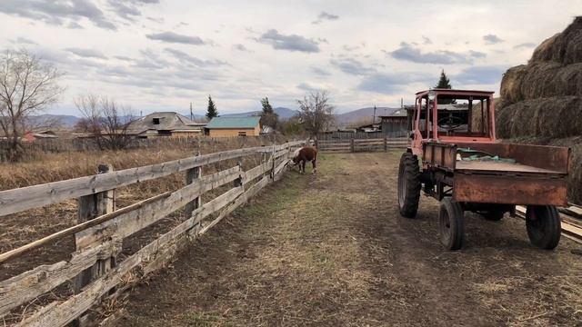 Сарай для овец . смотреть онлайн