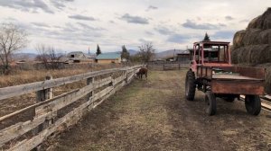 Сарай для овец .