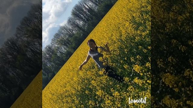 Красивая природа поле смотреть онлайн