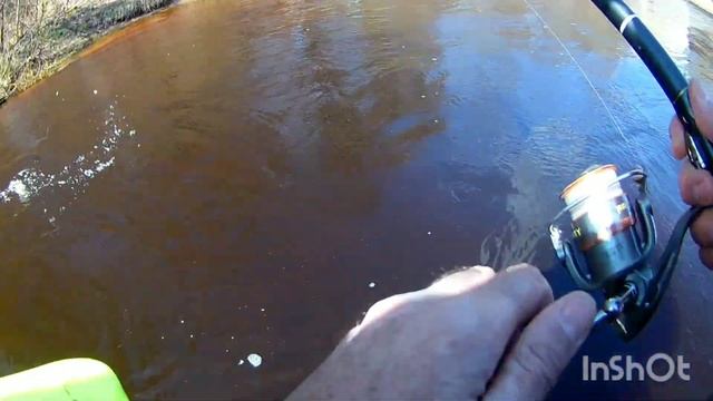 Рыбалка на Чёрной речке, язь, плотва, елец. смотреть онлайн