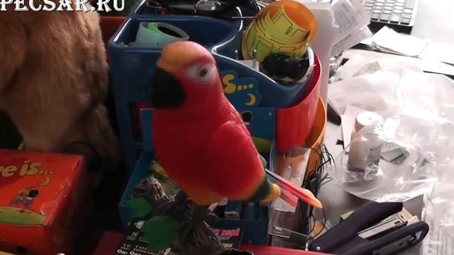 Игрушка попугай подставка под ручки повторюшка смотреть онлайн