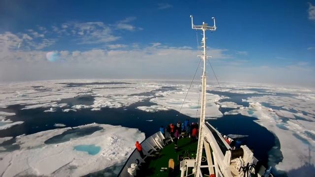 Фотоохота на белых медведей на судне Polar Pioneer смотреть онлайн