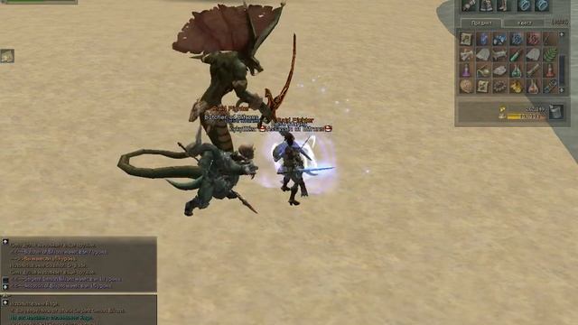 Гайд по соло-фарму нубо-РБ в Lineage2 C4 слитым дестром смотреть онлайн