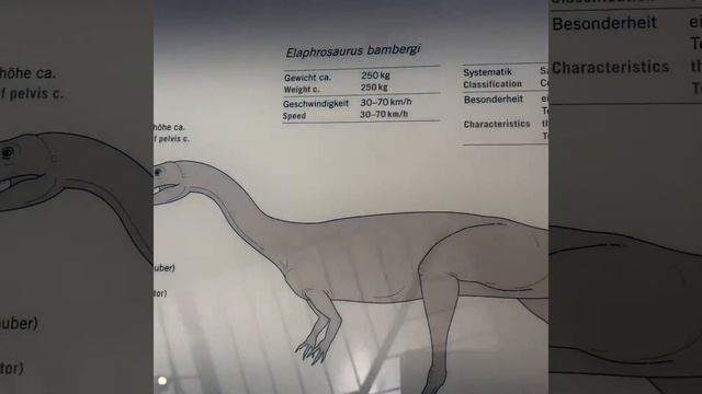 Музей естествознания в центре Берлина смотреть онлайн