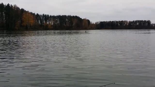 Рыбалка в октябре Истринское водохранилище неожиданная встреча смотреть онлайн
