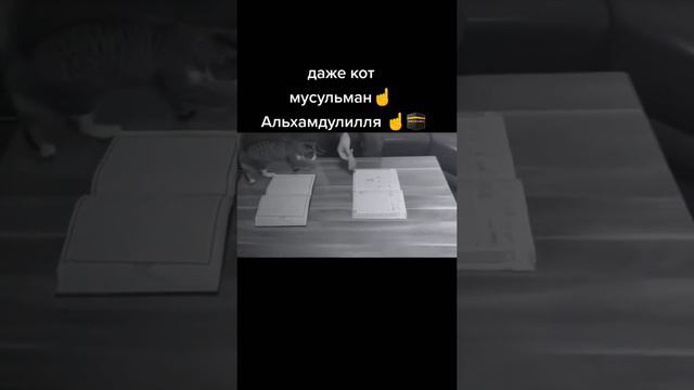 СубханАллах МА ША АЛЛАХ 🤲❤️ ислам это истина братья и сёстры ❤️☝️ #islam #ислам смотреть онлайн