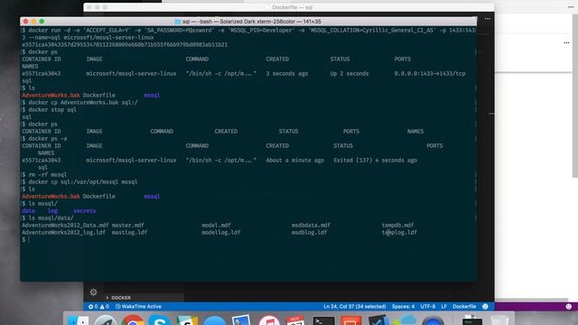 docker ms sqlserver контейнер для экспериментов смотреть онлайн