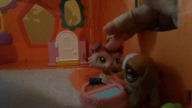 #Part 2 of Pets Hollywood place смотреть онлайн