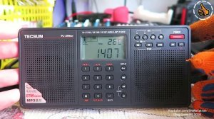 Tecsun PL-398MP Обзор радиоприёмника - личный опыт. Review Radio