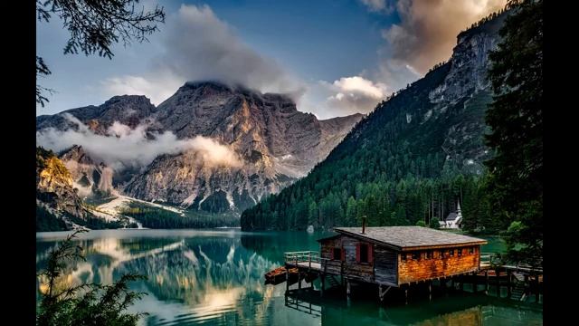 МУЗЫКА для СНА БЕЗ РЕКЛАМЫ - ШУМ ЛЕСА, Белый шум, смотреть онлайн