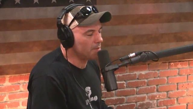 Joe Rogan - Real Dolls vs. Fleshlights смотреть онлайн
