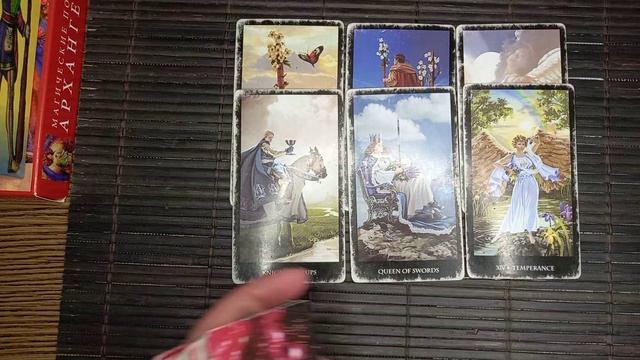 Беларусь.Приезд Фазеля.Будет ли чемпионат? смотреть онлайн