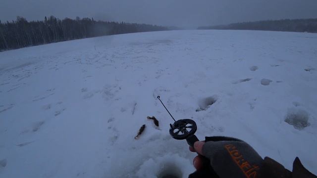 ОТДАЙ САЛО ГАД, Как жахнул, чуть уши не отлетели. Ловим Ротана в Кузбассе смотреть онлайн