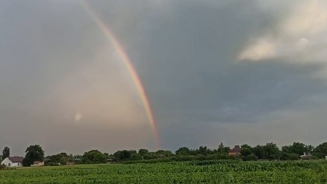 Клубника Флоренс смотреть онлайн