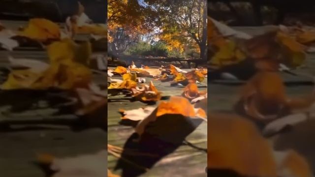 Про осень #стихи #озвучка смотреть онлайн