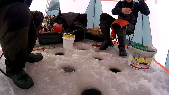 Свежак!!!Ловля плотвы зимой смотреть онлайн