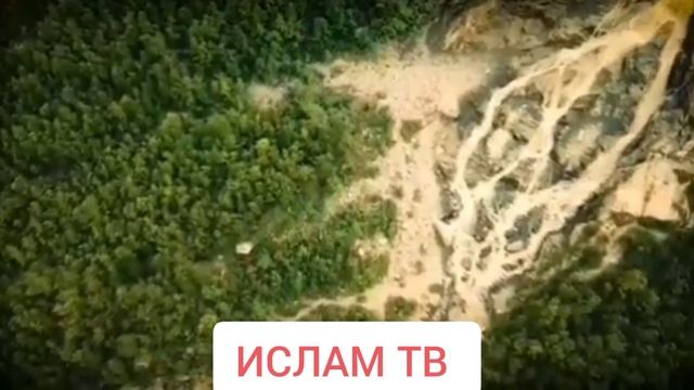 Таъбири хоби// Мохи? Зиндон?Хамир ?? НАМОЗ??♀️?