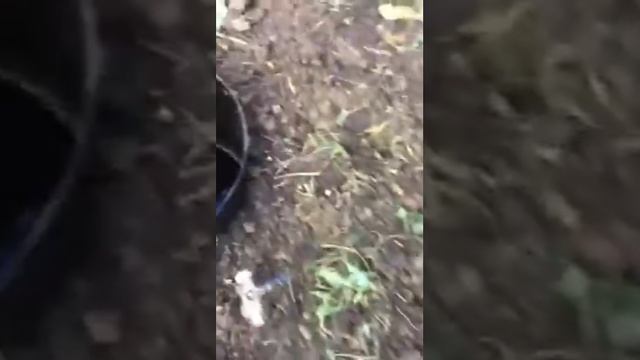 UChUV0FKH99VfQbIsvLuYZhQ #видео # поделиться # телефон с камерой смотреть онлайн