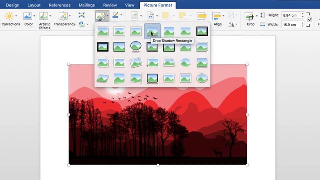 How to Add Drop Shadow on Picture in Microsoft Word смотреть онлайн