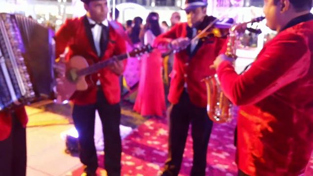Serenity Band Performance Naim Shah Saxophonist and Group. Saxophone Violin Guitar Accordion смотреть онлайн