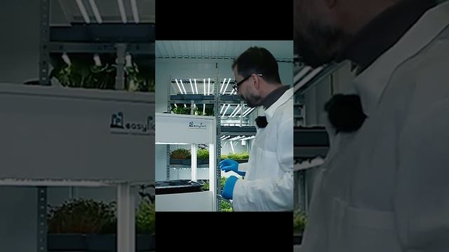 Easy plant - обзор домашней гидропонной установки смотреть онлайн