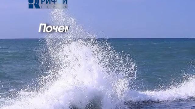 Людям о Людях Сложные детские вопросы смотреть онлайн