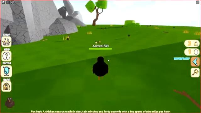 Chicken Life By Wiplin (Roblox Gameplay) смотреть онлайн